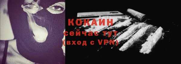 стафф Саки